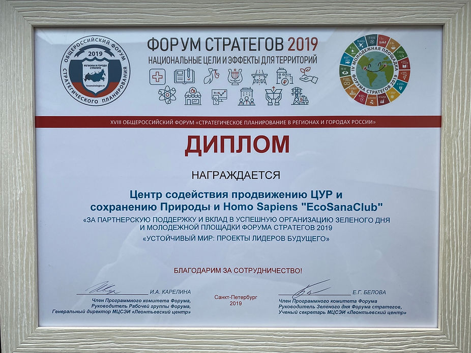 Диплом фост19 EcoSanaClub .jpeg
