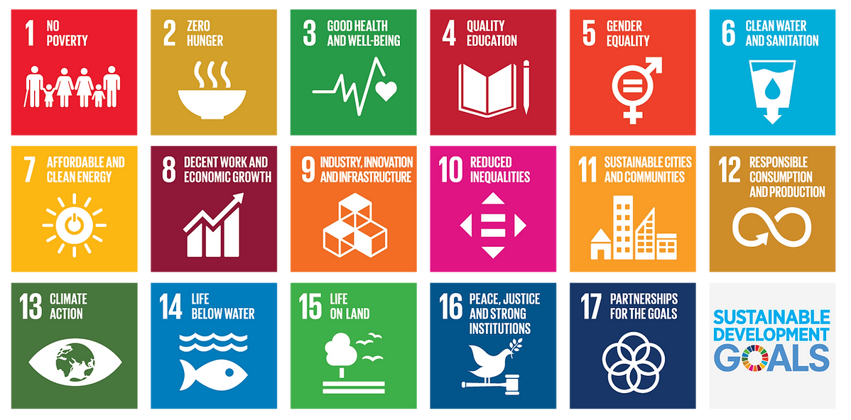 E_2018_SDG_Poster_without_UN_emblem_Lett