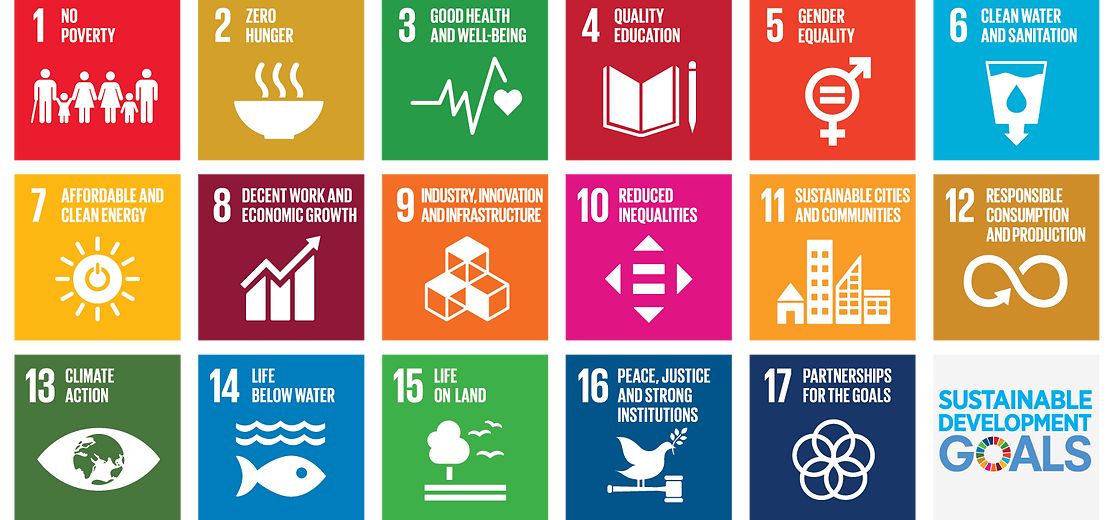E_2018_SDG_Poster_without_UN_emblem_Lett