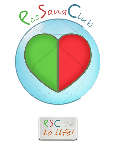 variant 10.4 с кнопкой.png
