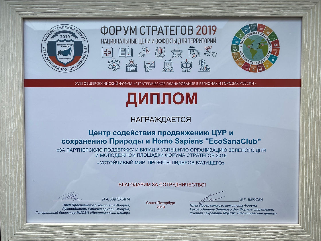 Диплом фост19 EcoSanaClub .jpeg