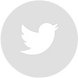 Twitter Valery Vakulenko
